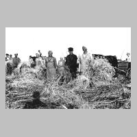059-0188 Langendorfer Buerger bei der Getreideernte im Sommer 1939.jpg